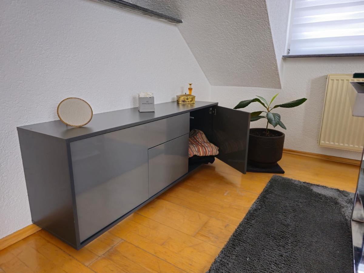 Sauna - Massage -Bodensee-Cinema Feeling- Home Sharing - Parking - Kueche رادولفزيل ام بوندنز المظهر الخارجي الصورة